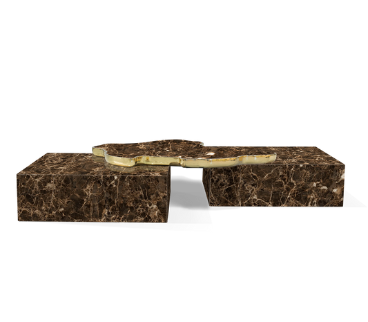Contemporary Luxury coffee Table