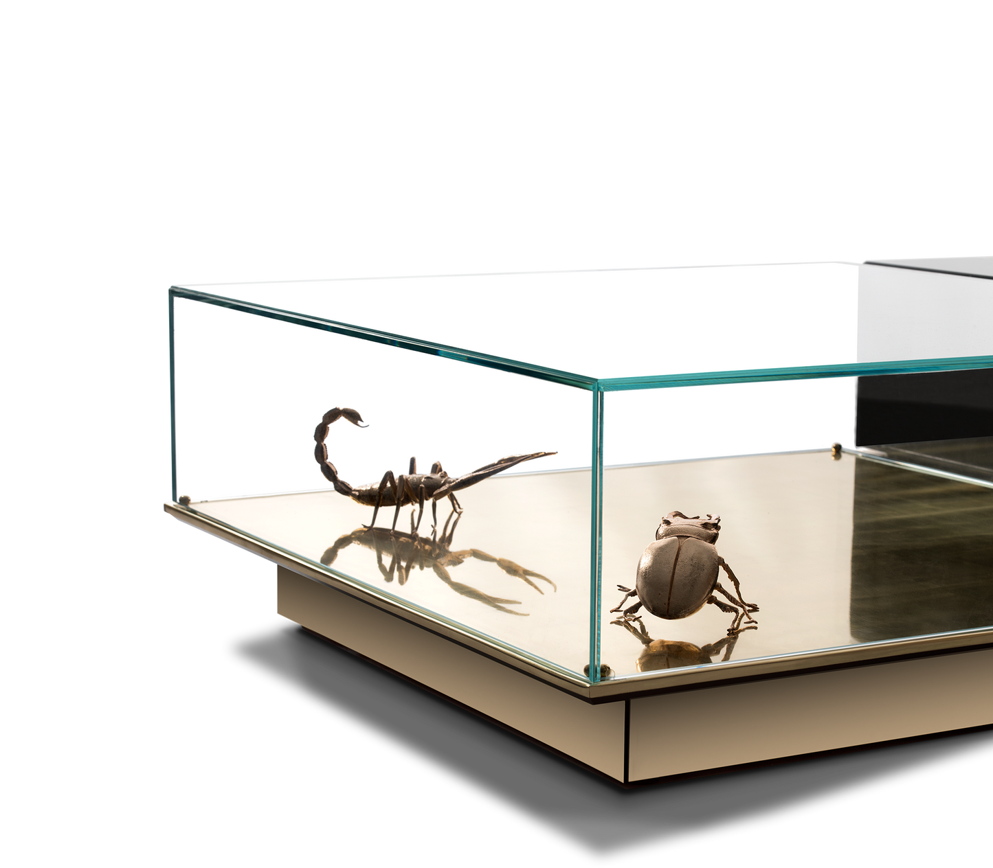 Metamorphosis Artistic Coffee Table