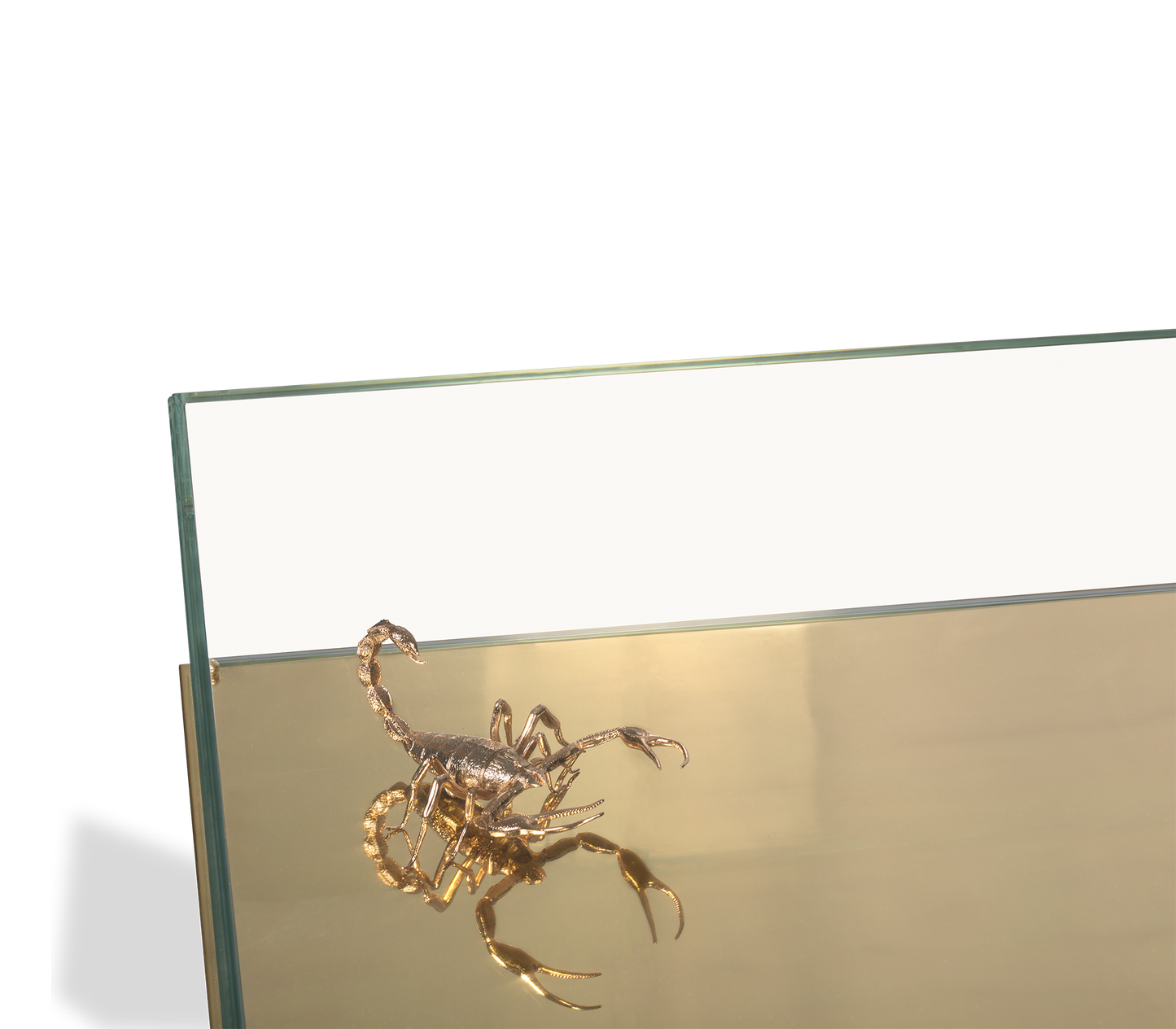 Metamorphosis Artistic Coffee Table
