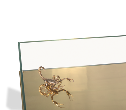 Metamorphosis Artistic Coffee Table