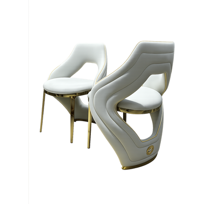 Premium Modern Dining Chair