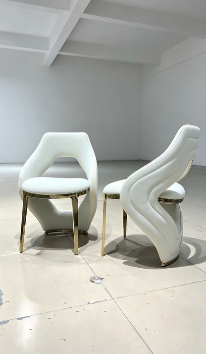 Premium Modern Dining Chair