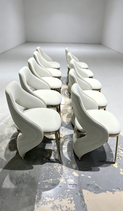 Premium Modern Dining Chair