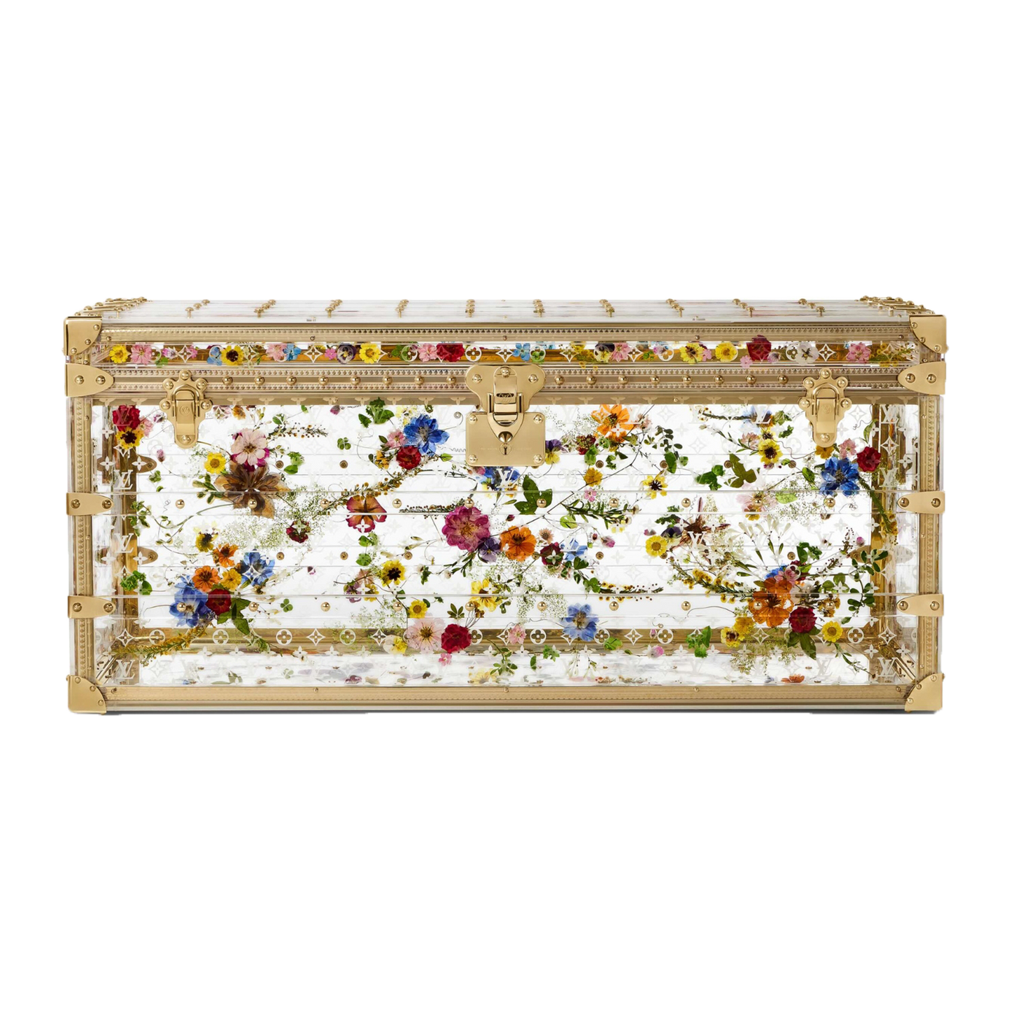 Multicolor Monigram Trunk