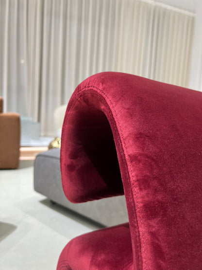 Designer Curved Lounge Chair