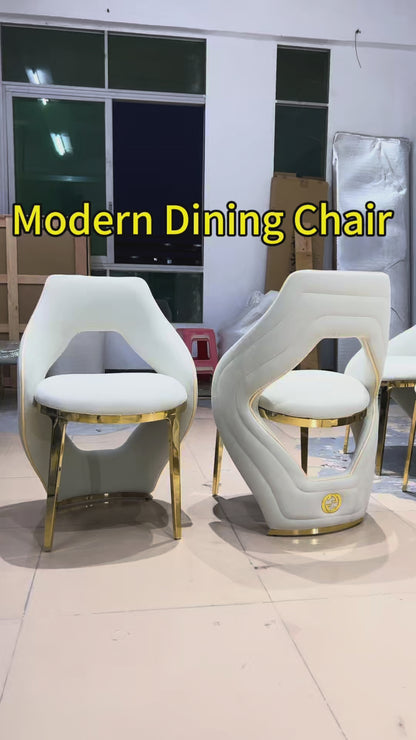 Premium Modern Dining Chair