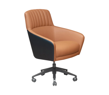 Ergonomic Executive Desk Chair