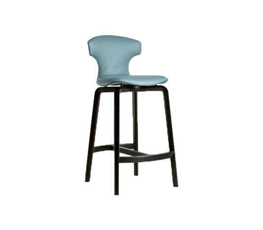 The Stylish Stool