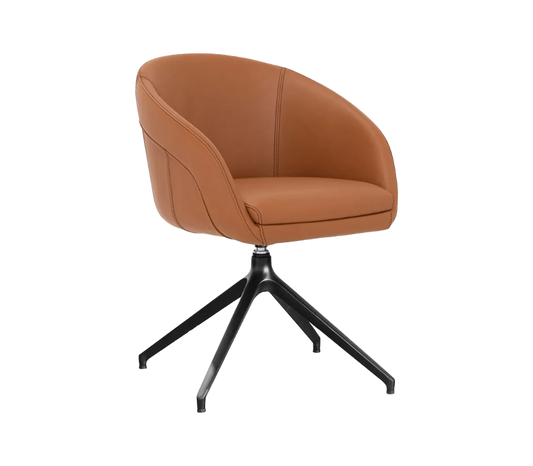 GT 21 Formitalia Easy Chair