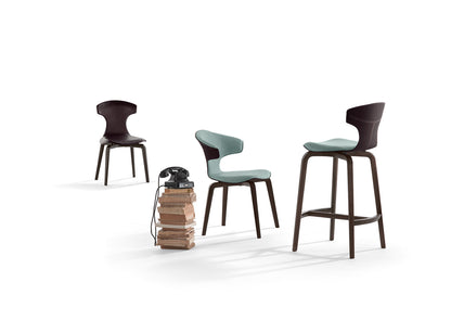Designer Armchair
