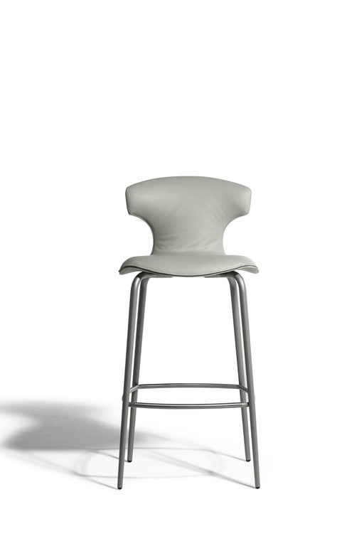 The Stylish Stool