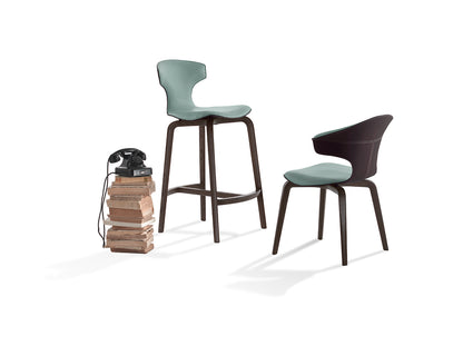 The Stylish Stool