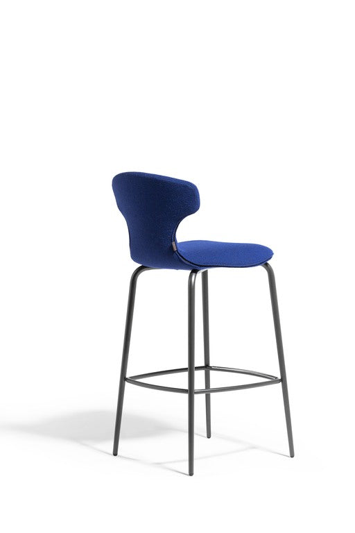The Stylish Stool