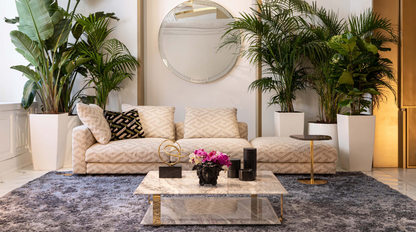 Custom Luxury Liviningroom Sofa