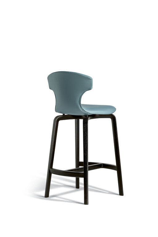 The Stylish Stool