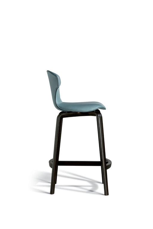 The Stylish Stool