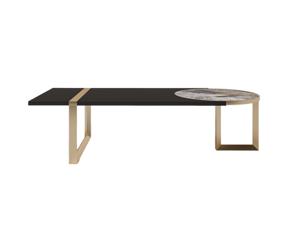 Luxury Modern Villa Coffee Table