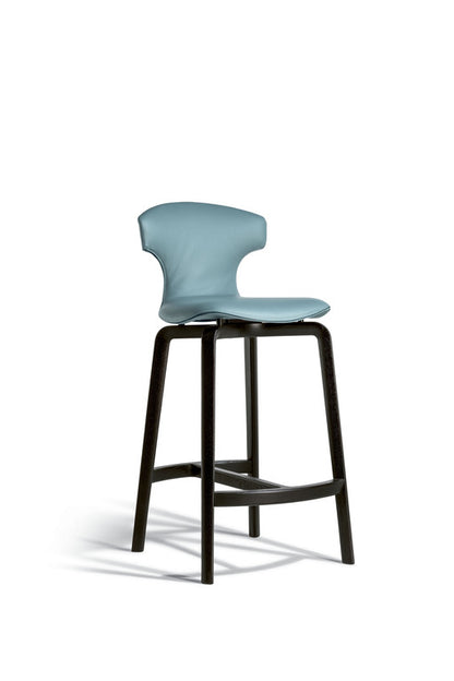 The Stylish Stool